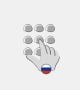 Virtual number Russia Moscow: 7-499