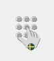 Virtual number Sweden Delsbo: 46-653
