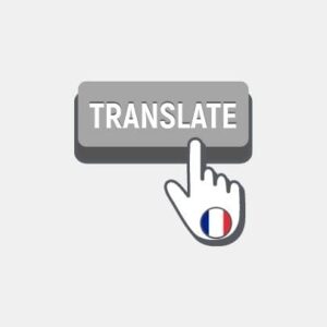 French - Product Description Translation