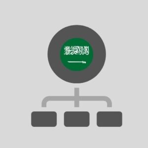 Saudi Arabia - Computer network