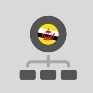 Brunei - Réseau informatique