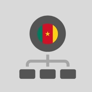 Cameroun - Réseau informatique
