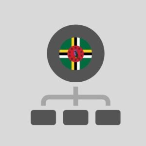 Dominica - Computer network