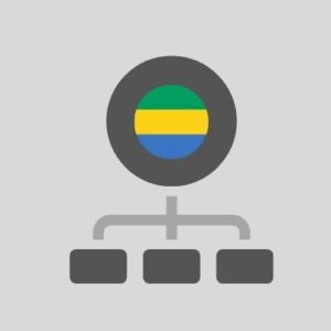 Gabon - Computer network