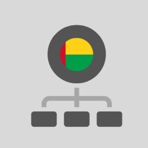 Guinea-Bissau - Computer network