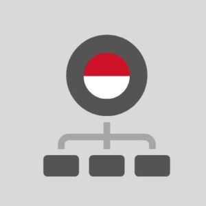 Indonesia - Computer network