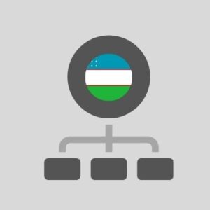 Uzbekistan - Computer network