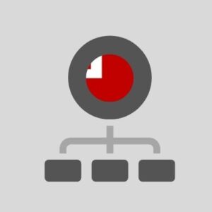 Tonga - Computer network