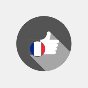 France - E-reputation management