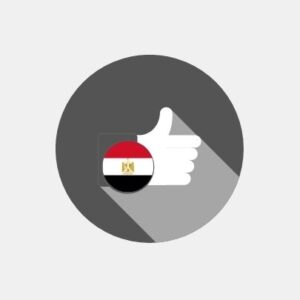 Egypt - E-reputation management