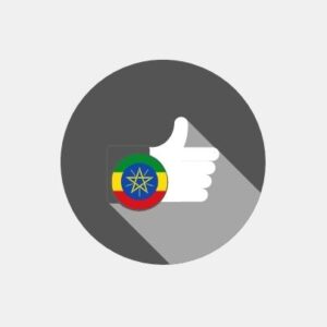 Ethiopia - E-reputation management