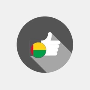 Guinea-Bissau - E-reputation management