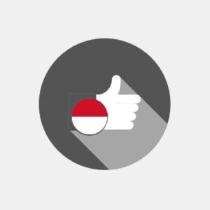 Indonesia - E-reputation management