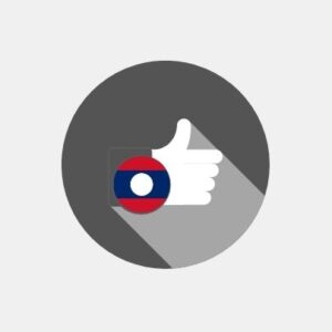 Laos - E-reputation management