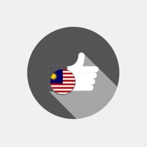 Malaysia - E-reputation management