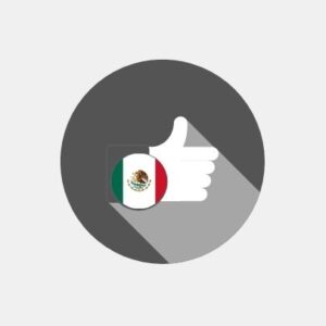 Mexico - E-reputation management