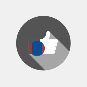 Mongolia - E-reputation management
