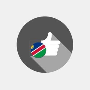 Namibia - E-reputation management