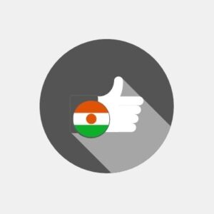 Niger - E-reputation management