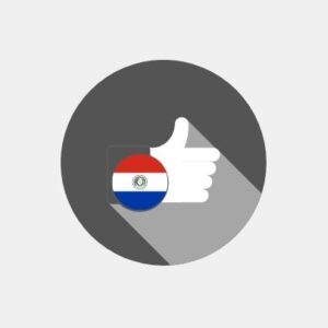 Paraguay - E-reputation management