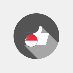 Singapore - E-reputation management