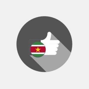 Surinam - E-reputation management
