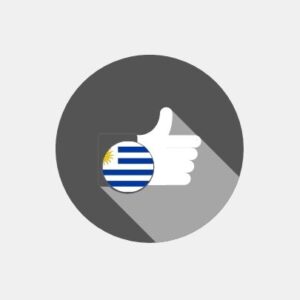 Uruguay - E-reputation management