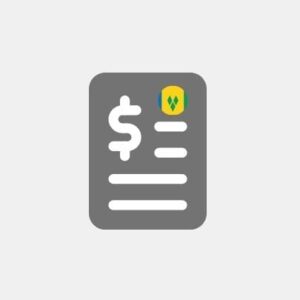 Saint Vincent and the Grenadines - Accounting and taxation