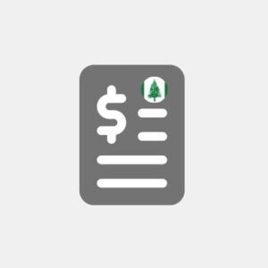 Norfolk Island - Accounting and taxation