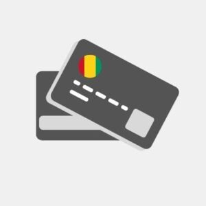 Guinea bank card Reseller