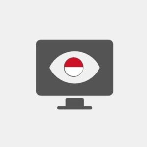 Monaco Business Intelligence
