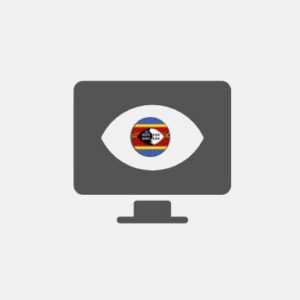 Eswatini Business Intelligence