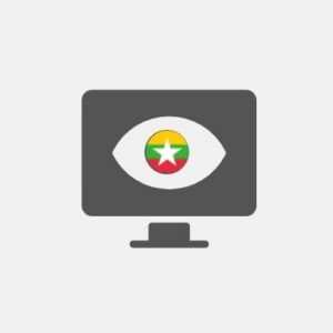 Myanmar Business Intelligence