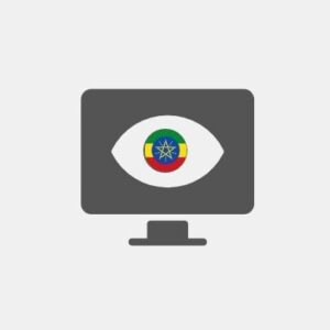 Ethiopia Business Intelligence