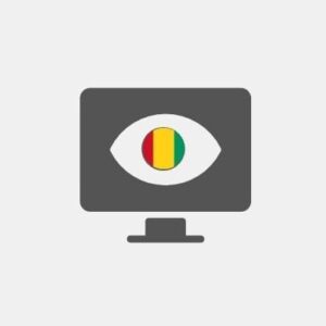 Guinea Business Intelligence