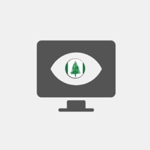 Norfolk Island Business Intelligence