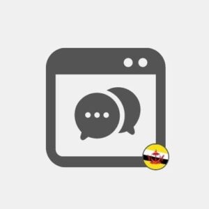 Chatbot en Brunéi