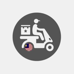 Courier delivery in Malaysia