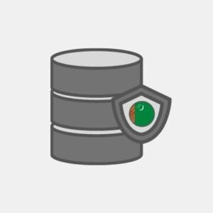 Turkmenistan Database Service