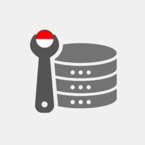 Indonesia Data Engineering