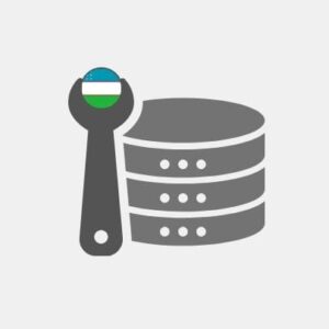 Uzbekistan Data Engineering