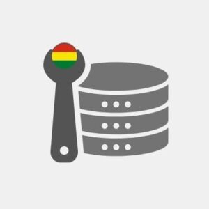Bolivia Data Engineering