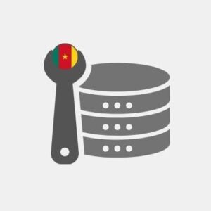 Cameroon Data Engineering