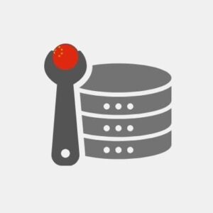 China Data Engineering