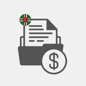 Financing solutions in Dominica