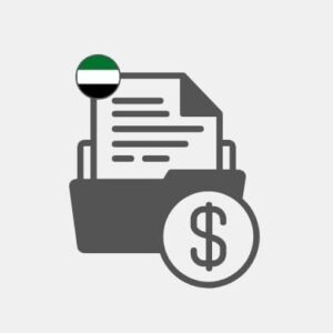 Financing solutions in United Arab Emirates