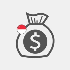 Singapore Funding research