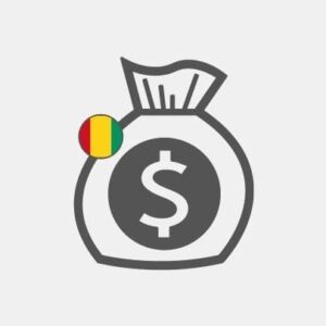 Guinea Funding research