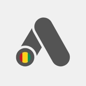 Guinea Google Ads