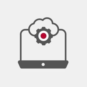 Japan Systems integration